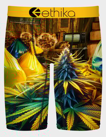 ETHIKA Out Of Bando Staple Mens Boxer Briefs Primary Image