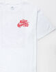 NIKE SB 90 Dragon Mens Tee image number 4