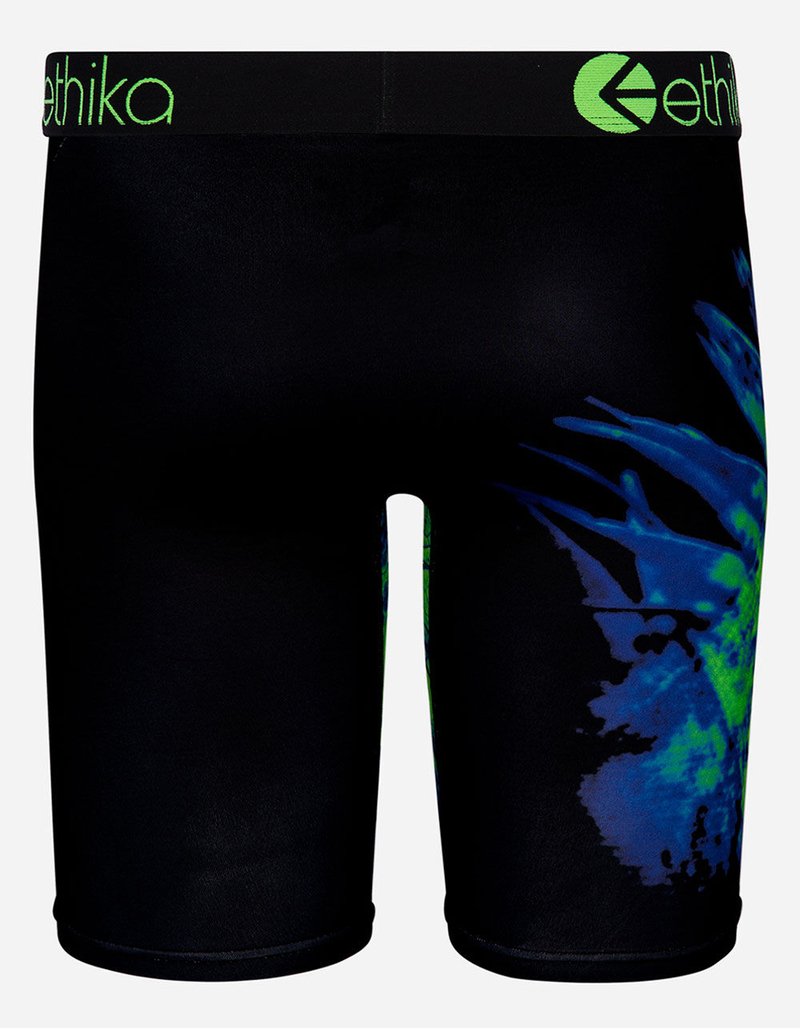 ETHIKA Green Lizard Staple Boys Boxer Briefs image number 2