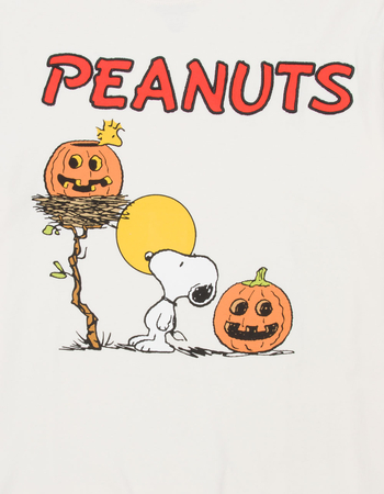 RSQ x Peanuts Pumpkins Mens Tee Alternative Image
