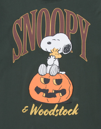 RSQ x Peanuts Together Mens Tee Alternative Image