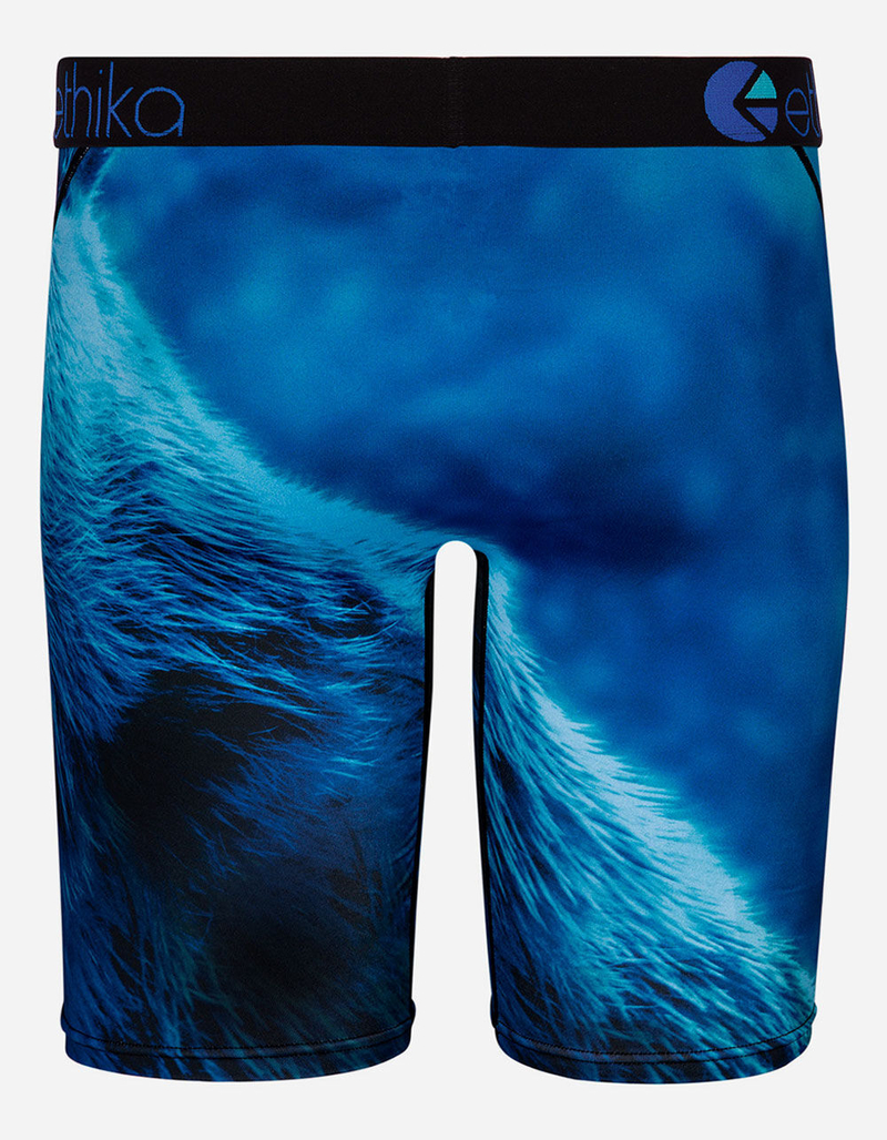 ETHIKA Blue Bear Staple Boys Boxer Briefs image number 2