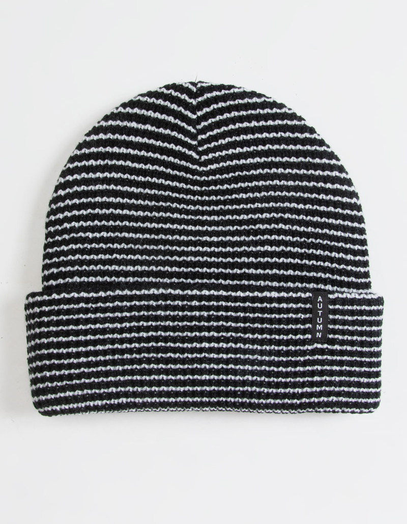 AUTUMN Stripe Beanie image number 0