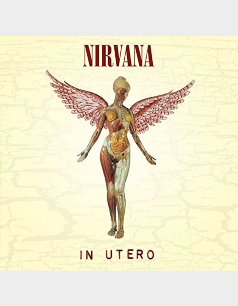 NIRVANA In Utero (180 Gram Vinyl) image number 0