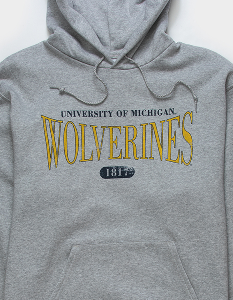CHAMPION University Of Michigan Mens Hoodie image number 1