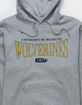 CHAMPION University Of Michigan Mens Hoodie image number 2