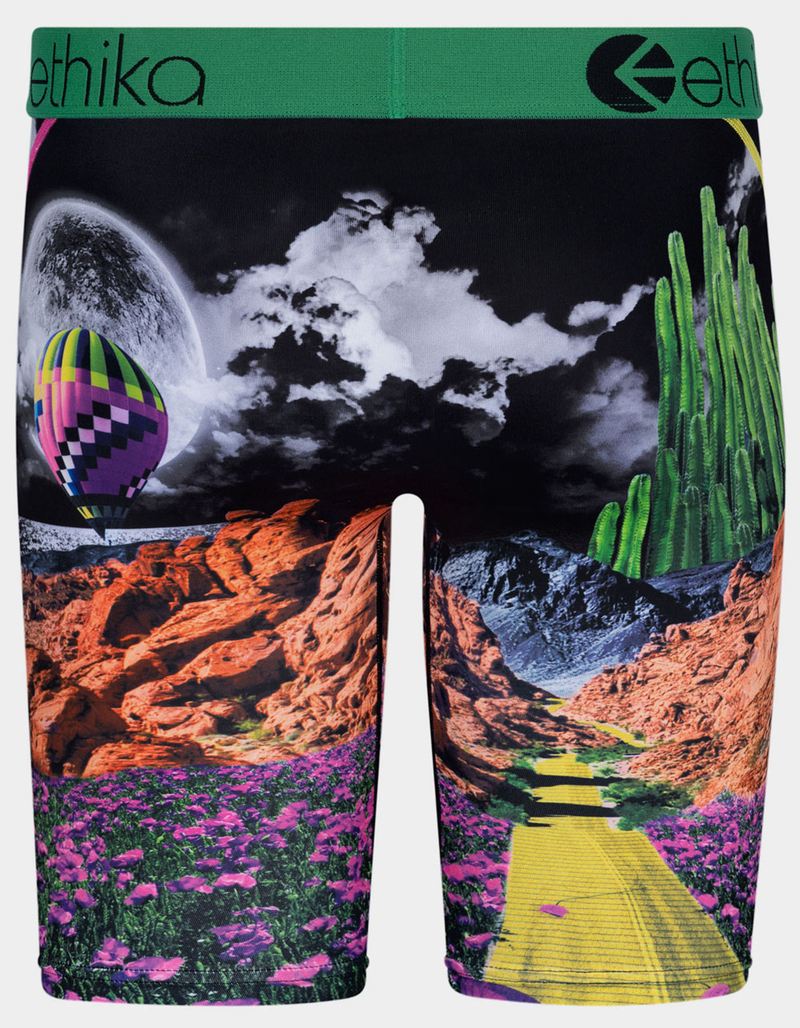 ETHIKA Not In Kansas Mens Staple Boxer Briefs image number 2