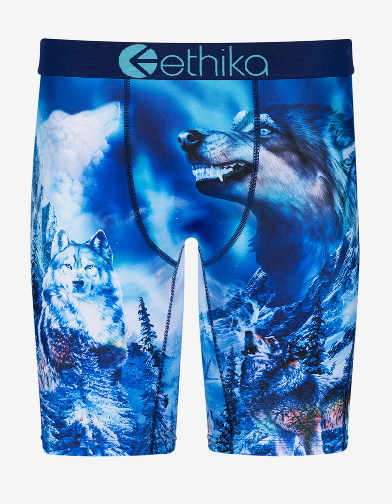 ETHIKA Blue Fangz Staple Boys Boxer Briefs image number 0