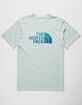 THE NORTH FACE Half Dome Triblend Mens T-Shirt image number 1