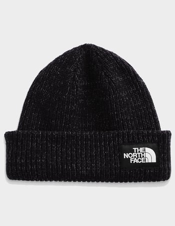 THE NORTH FACE Salty Beanie Primary Image