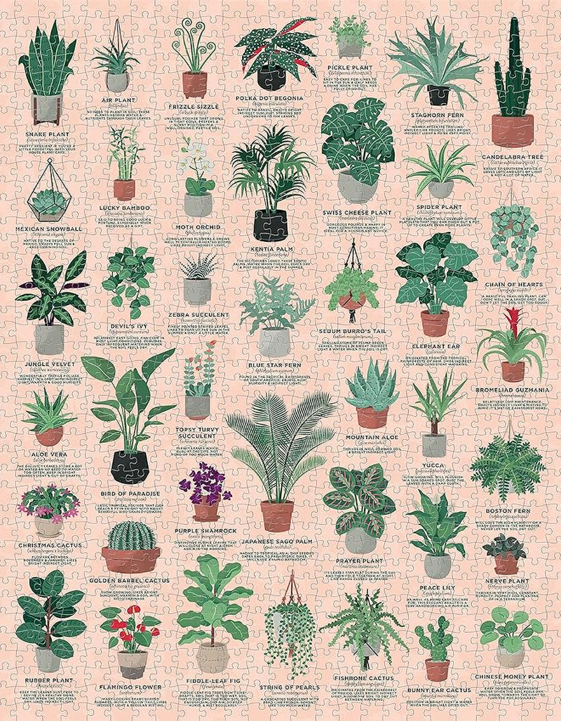 Ridley's Plants 1000 Piece Jigsaw Puzzle image number 1