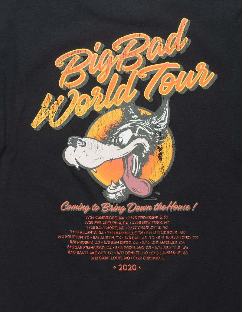 EVERYDAY VANDALS Big Bad World Tour Mens Tee image number 3