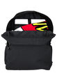 SANTA CRUZ Classic Backpack image number 4