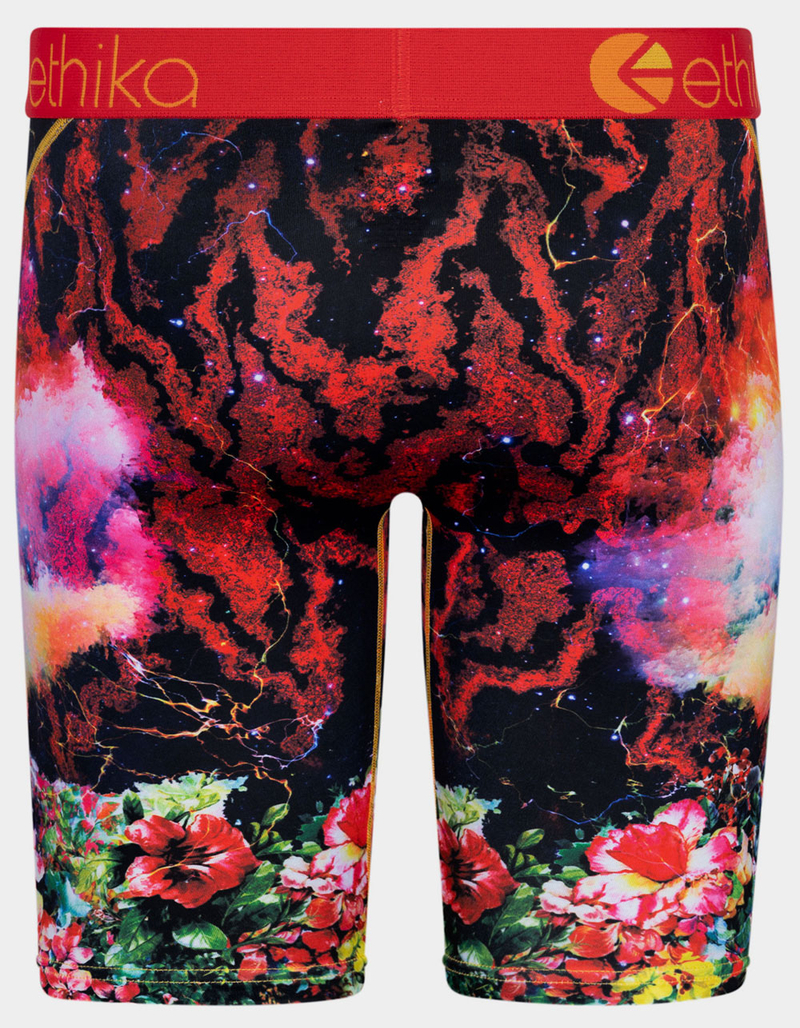 ETHIKA Tiger Storm Staple Mens Boxer Briefs image number 2