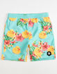 NEFF Warped Ducky Boys Volley Shorts image number 1