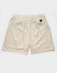 LIRA Trophy Mens Mesh Shorts image number 3