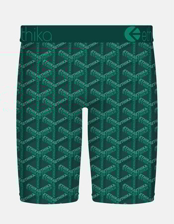 ETHIKA Emerald Dynasty Staple Mens Boxer Briefs Alternative Image