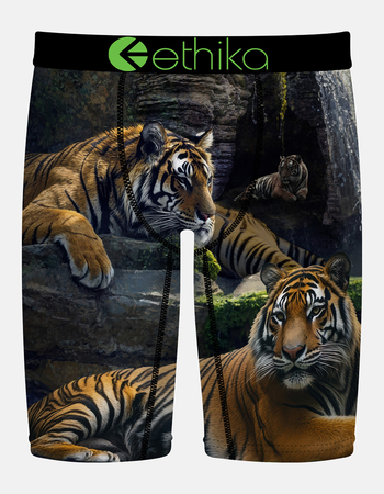 ETHIKA Lurking Staple Boys Boxer Briefs Primary Image