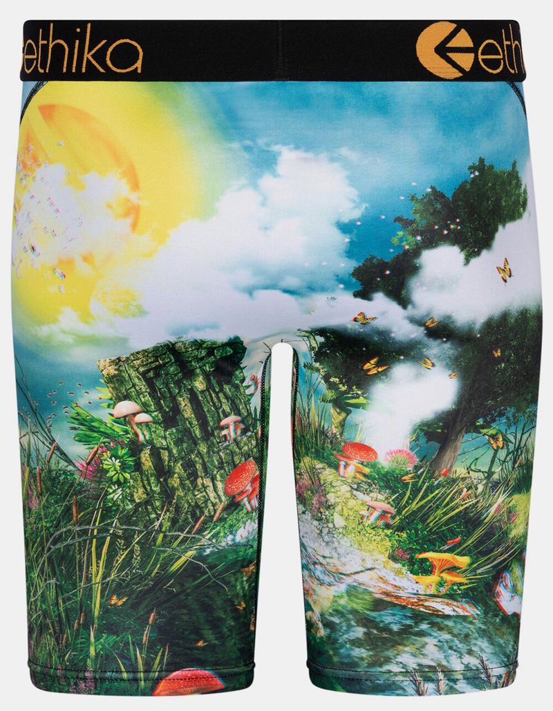 ETHIKA Life's A Trip 3D Mens Boxer Briefs image number 2