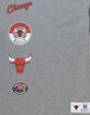 MITCHELL & NESS City Collection Chicago Bulls Tee image number 3
