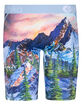 ETHIKA Bomber Abominable Staple Mens Boxer Briefs image number 3
