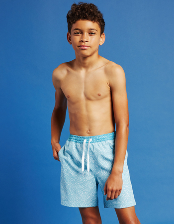 CHUBBIES Whale Sharks Boys 5.5'' Volley Shorts Primary Image