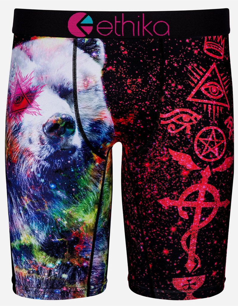 ETHIKA Mystik Bear Staple Mens Boxer Briefs image number 0