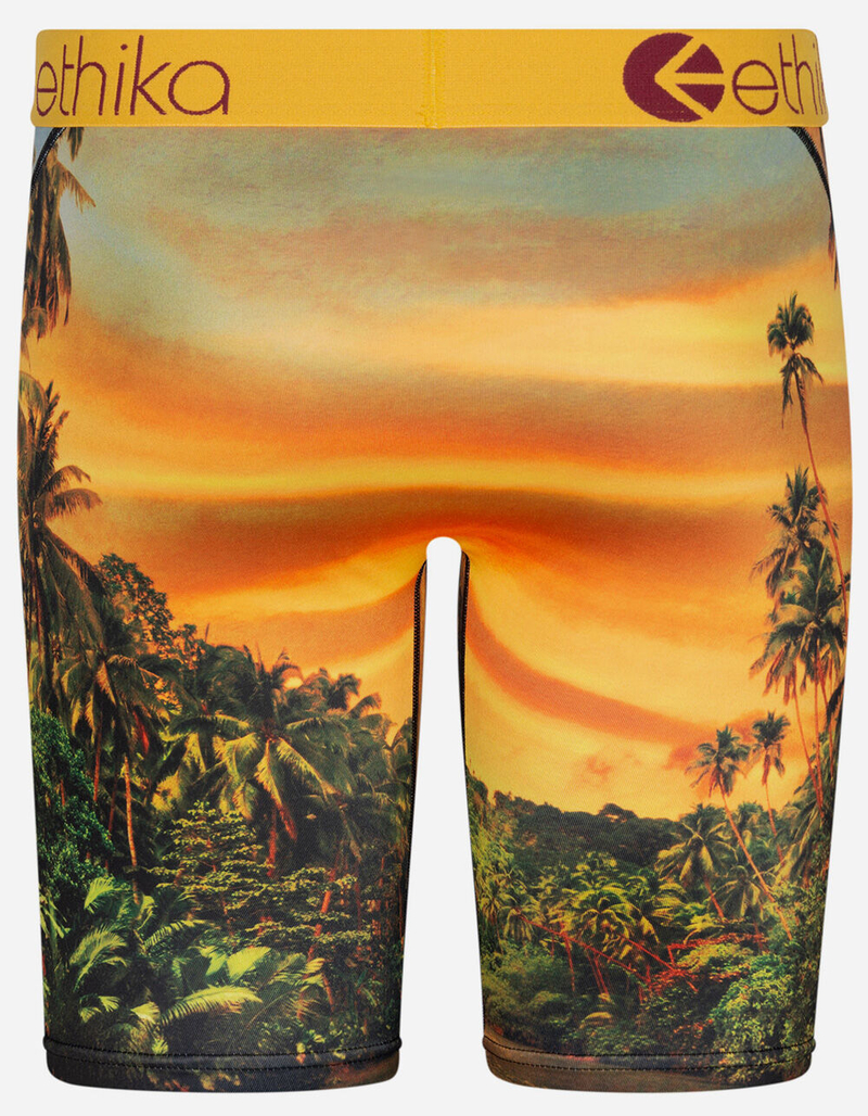 ETHIKA Easy Tiger Mens Boxer Briefs image number 2