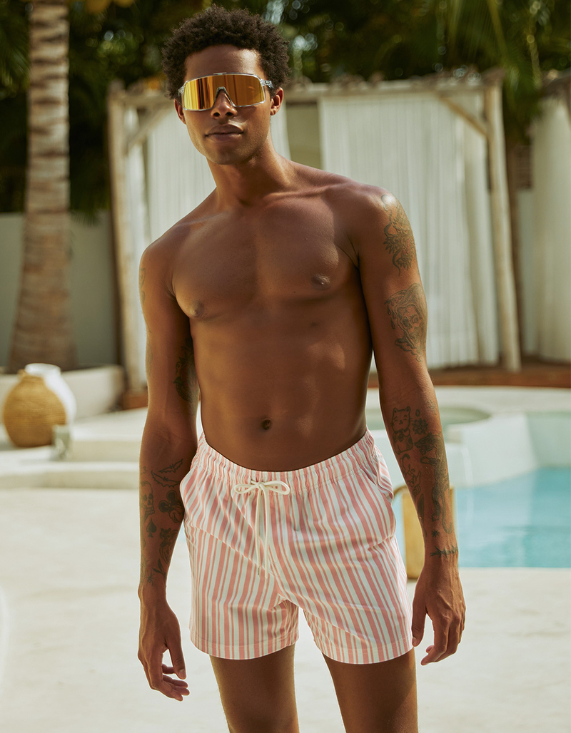 RSQ Mens Simple Stripe 5'' Swim Shorts image number 0