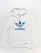 ADIDAS Digi Trefoil Mens Hoodie image number 1