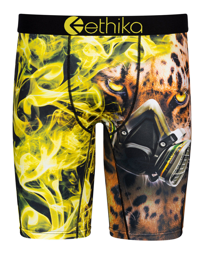 ETHIKA Kush Cat Boys Boxer Briefs image number 0
