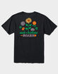 ROARK Seek & Explore Mens Tee image number 1