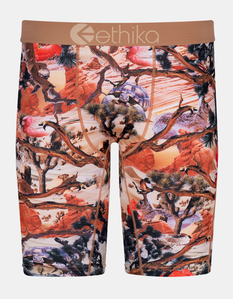 ETHIKA Joshua Camo Staple Boys Boxer Briefs image number 0