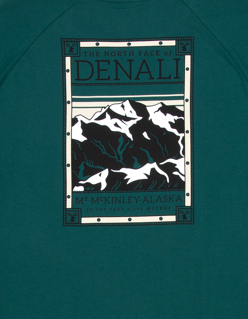 THE NORTH FACE North Faces Mens Tee image number 2