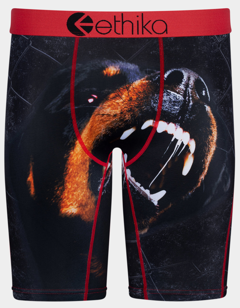 ETHIKA Get At Me Staple Mens Boxer Briefs image number 0