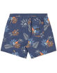 HURLEY Cannonball Mens 17" Volley Shorts image number 2