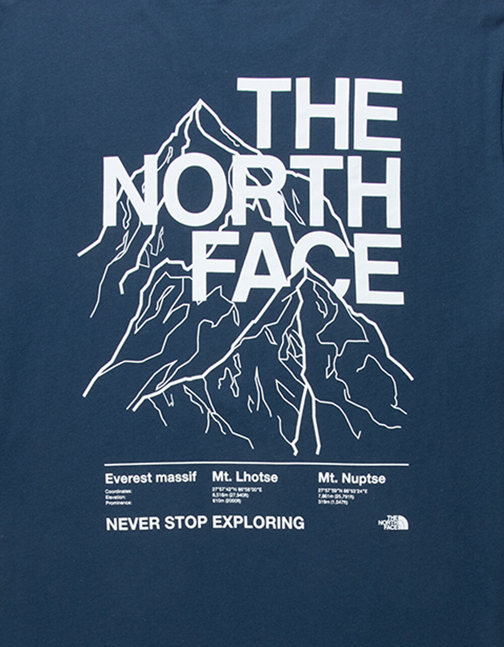 THE NORTH FACE Places We Love Mens Tee - NAVY - M | Tillys
