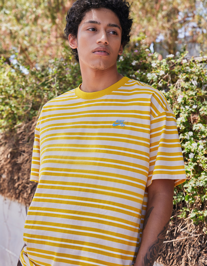 NIKE SB Stripe Mens Tee image number 0