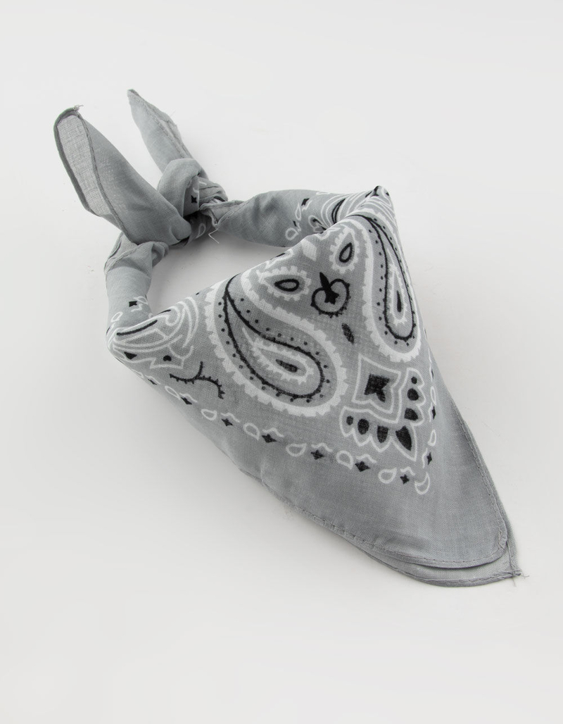 Gray Paisley Bandana image number 0