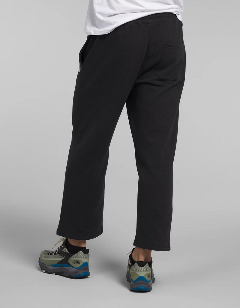 THE NORTH FACE Evolution Straight Leg Mens Sweatpants image number 4