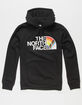 THE NORTH FACE Pride Mens Hoodie image number 2