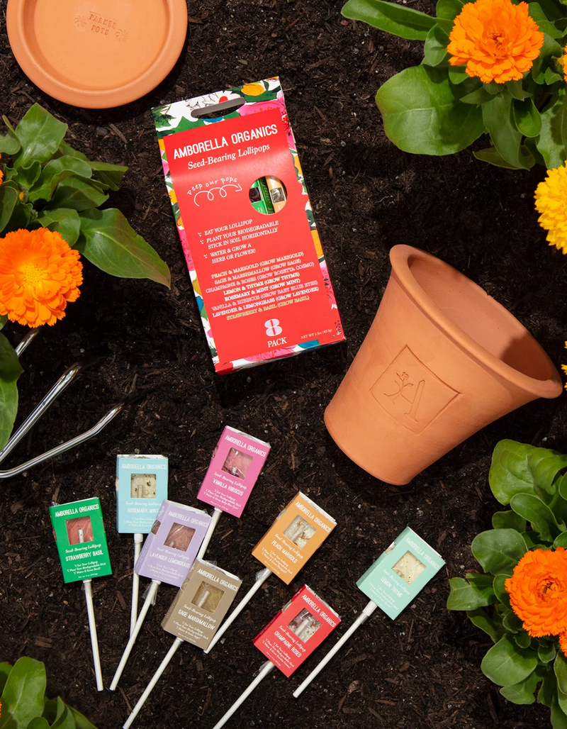 AMBORELLA ORGANICS Blooming Lollipops Grow Kit image number 2