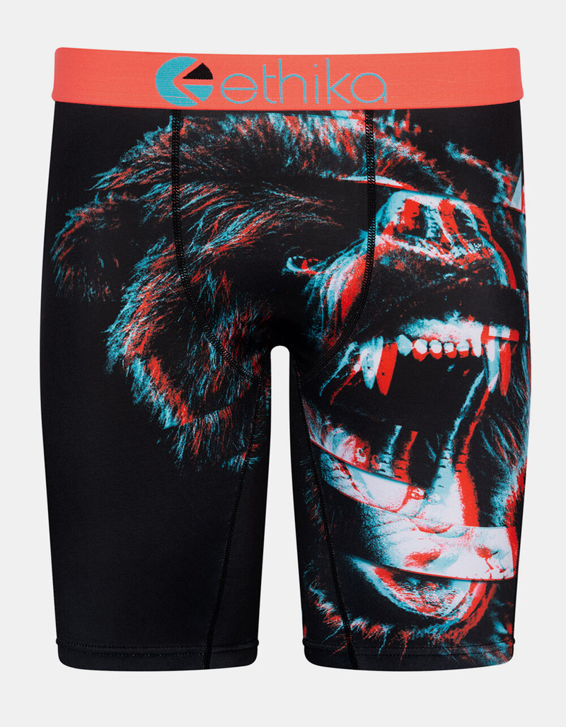 ETHIKA Bear Matrix 3D Boys Boxer Briefs image number 0
