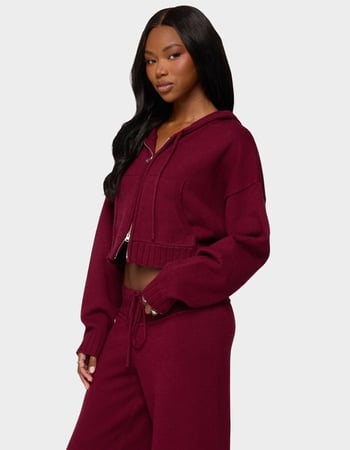 EDIKTED Russell Knit Hooded Cardigan Alternative Image