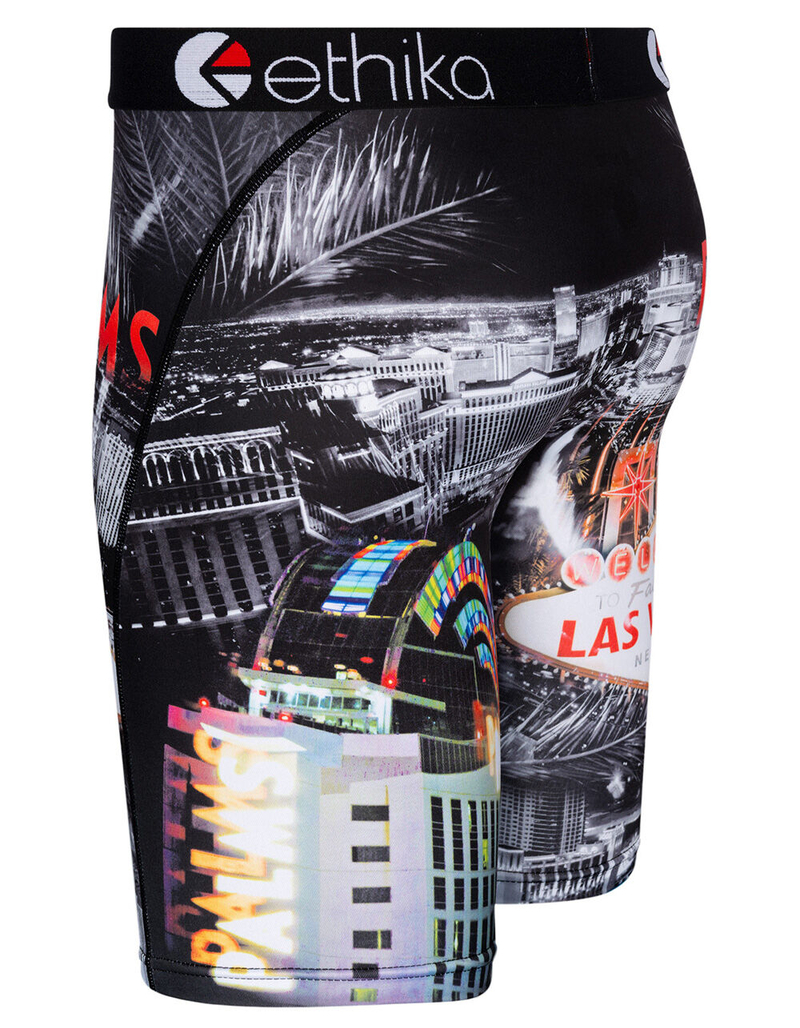 ETHIKA Palms Palace Mens Boxer Briefs image number 2
