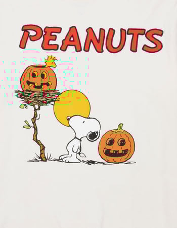 RSQ x Peanuts Pumpkins Mens Boxy Tee Alternative Image