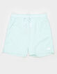 THE NORTH FACE Action 2.0 Mens Shorts image number 1