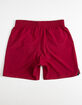 NIKE Solid Mens Red Boardshorts image number 2