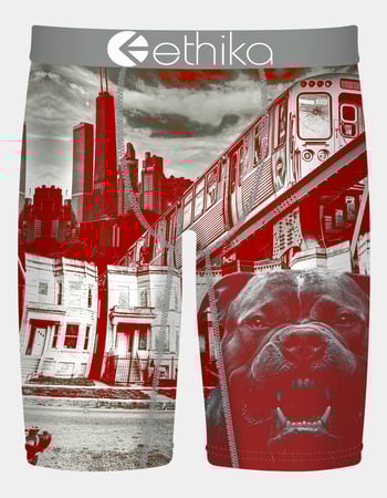 ETHIKA Off The Porch Staple Mens Boxer Briefs Primary Image