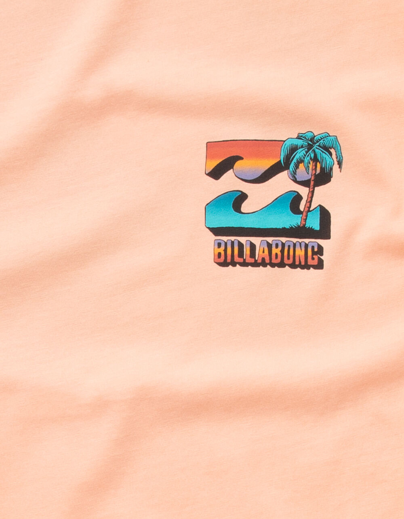 BILLABONG BBTV Wave Washed Mens T-Shirt image number 3